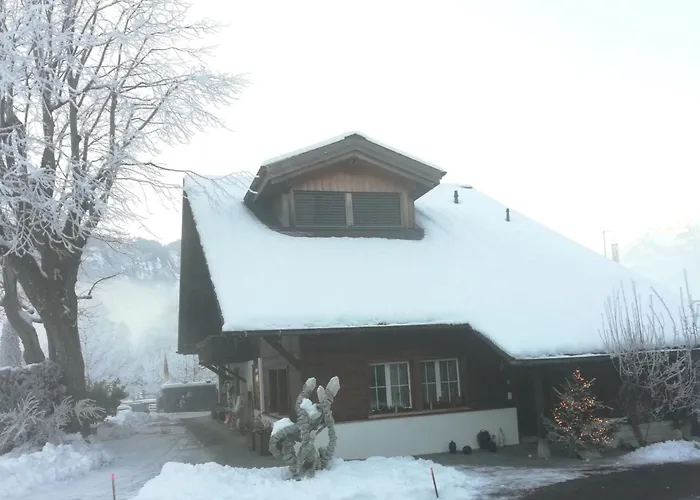 Steinideen By Interhome Meiringen