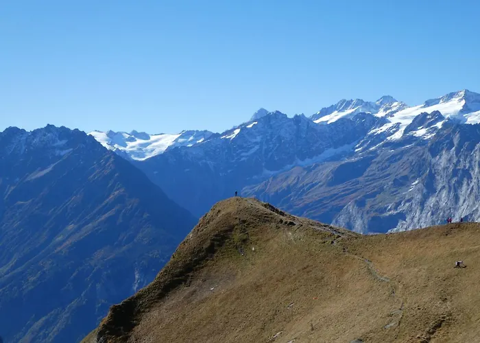 Steinideen By Interhome Appartement